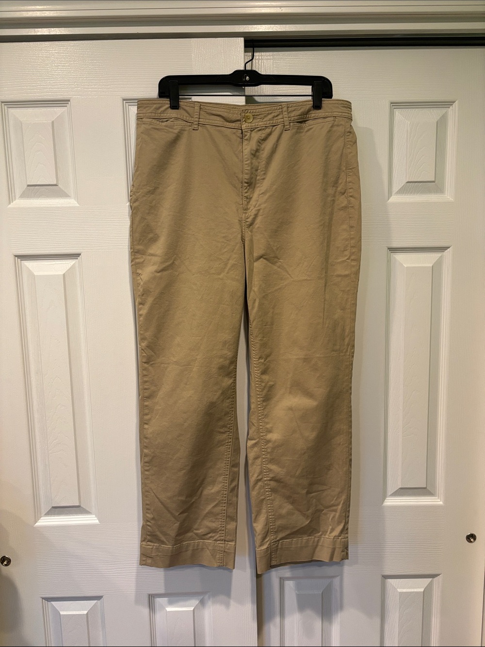 Everlane Women’s Chino Pants Size 14